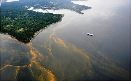 algae-bloom-2992461-large