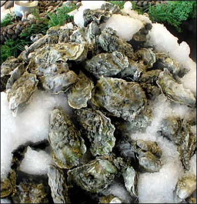 oysterprices